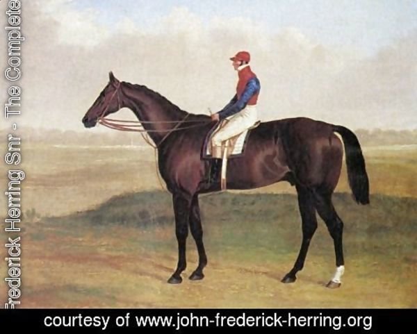 John Frederick Herring Snr - Lord Chesterfields Racehorse Don John