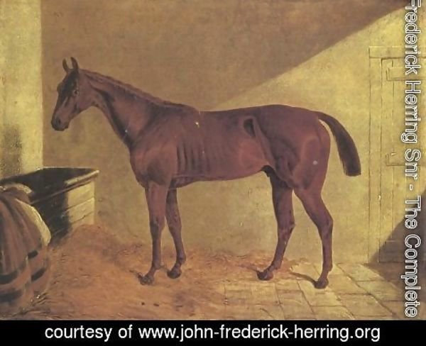 John Frederick Herring Snr - Margrave Winner St Leger 1834