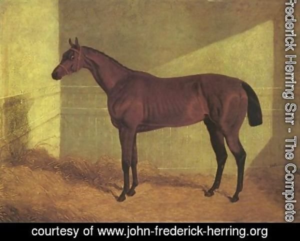John Frederick Herring Snr - Matilda Winner St Leger 1834