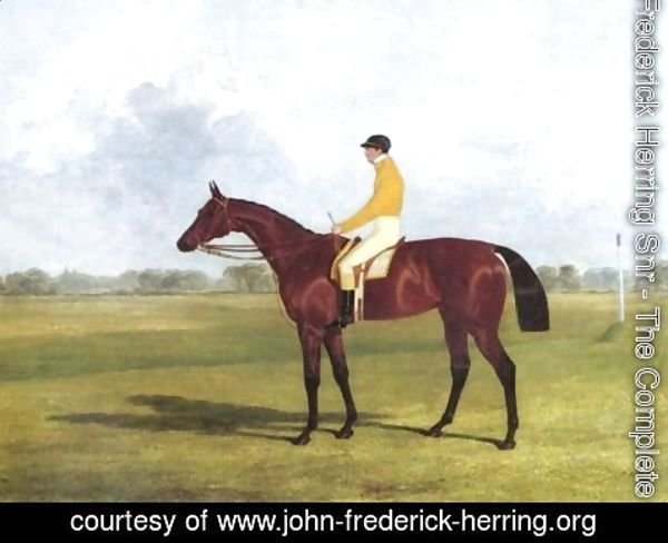 John Frederick Herring Snr - Miss Letty Winner Of The Oaks 1837