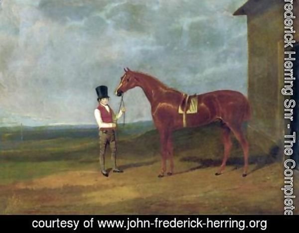 John Frederick Herring Snr - Mountaineer A Chestnut Colt 1826