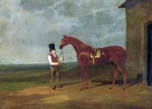 Mountaineer A Chestnut Colt 1826
