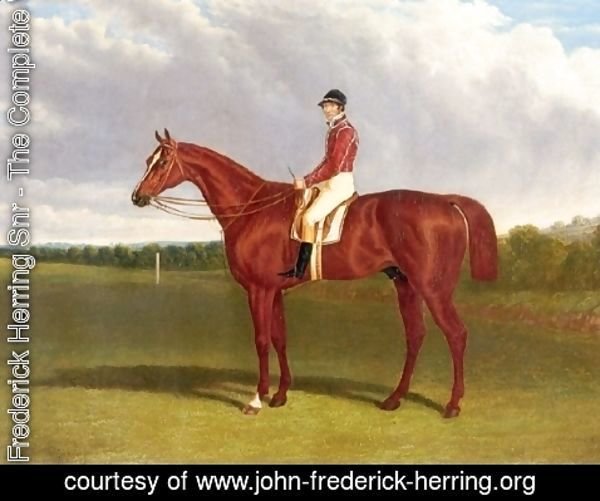 John Frederick Herring Snr - Pleni Potententiary With Jockey Up 1835