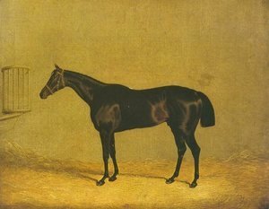 John Frederick Herring Snr - Racehorse Mulatto 1936
