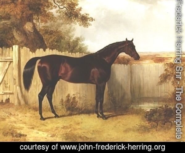 John Frederick Herring Snr - Rockingham In A Landscape