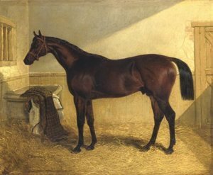 Rockingham Winner 1833 St. Leger 1833