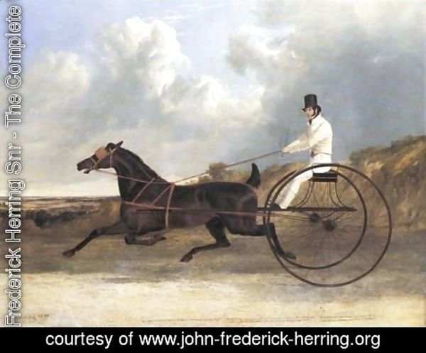 John Frederick Herring Snr - The American Trotter Ratler 1834
