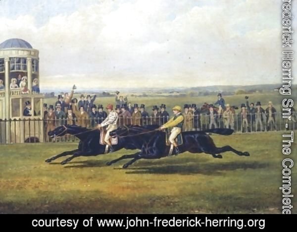 John Frederick Herring Snr - The Finish Of A Race