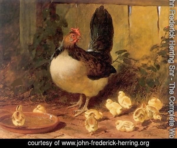 The Proud Mother Hen and Chicks 1852
