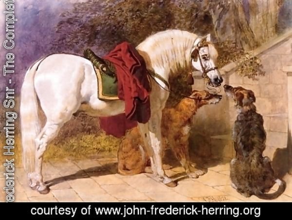 John Frederick Herring Snr - The Squires Pets Arabian and Scottish Deerhounds
