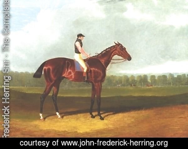 John Frederick Herring Snr - Theodore With Jockey Up