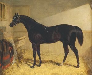 John Frederick Herring Snr - Touchstone Winner 1834 St. Leger
