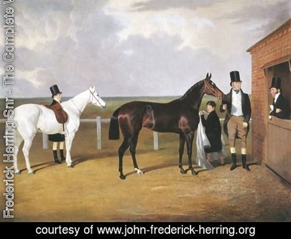 Vespa A Bay Racehorse 1833