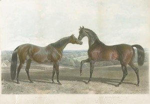 John Frederick Herring Snr - Barbelle, bred by Mr. Vansittant and Bay Middleton, bred by the Earl of Jersey