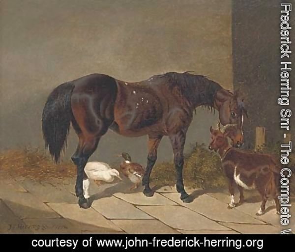 John Frederick Herring Snr - A bay horse with a goat and ducks