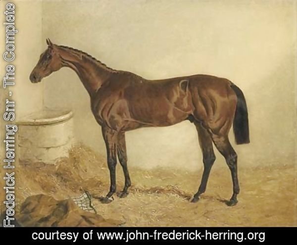 John Frederick Herring Snr - Little Wonder, winner of the Derby, 1840, in a stable