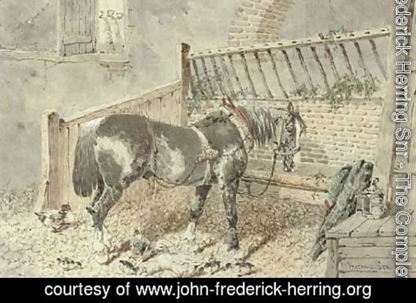John Frederick Herring Snr - A carthorse in a stall