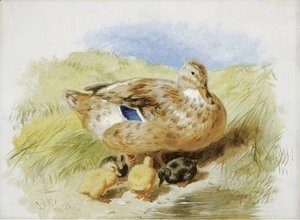 John Frederick Herring Snr - A Duck And Ducklings