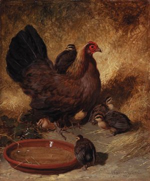 John Frederick Herring Snr - A hen and chicks