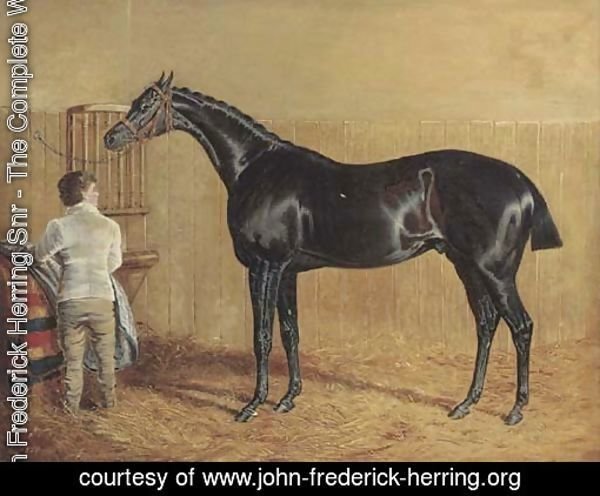 A racehorse in a stable with a groom