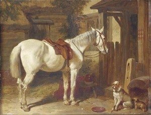 A saddled grey pony and dogs outside an inn