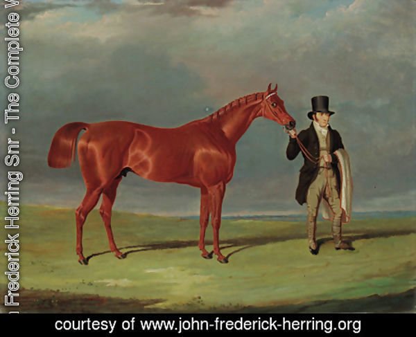 Bedlamite, a chestnut racehorse held by his trainer, in an extensive landscape