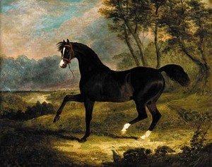 John Frederick Herring Snr - Camel, a dark bay racehorse in a landscape