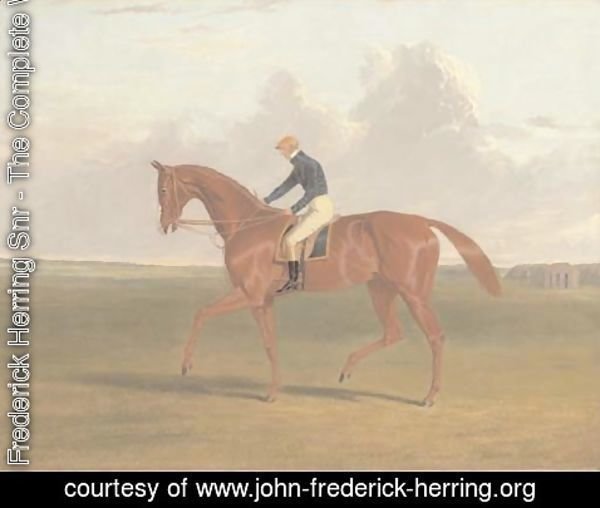 John Frederick Herring Snr - Colonel Peel's chestnut filly Vulture, with jockey up, on Newmarket Heath