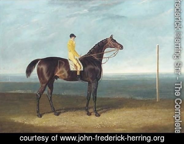 John Frederick Herring Snr - Jack Spigot, a dark bay racehorse with jockey up