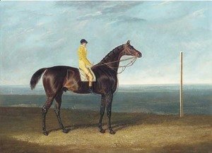 Jack Spigot, a dark bay racehorse with jockey up