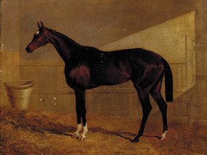 John Frederick Herring Snr - Lucetta, a bay racehorse in a stable