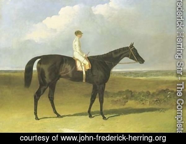 John Frederick Herring Snr - Mr O'Brien's Jonathan Wild, with jockey up