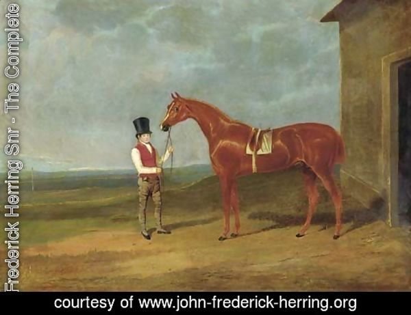 Mr. Dixon's Mountaineer, a chestnut colt, held by a groom outside a stable