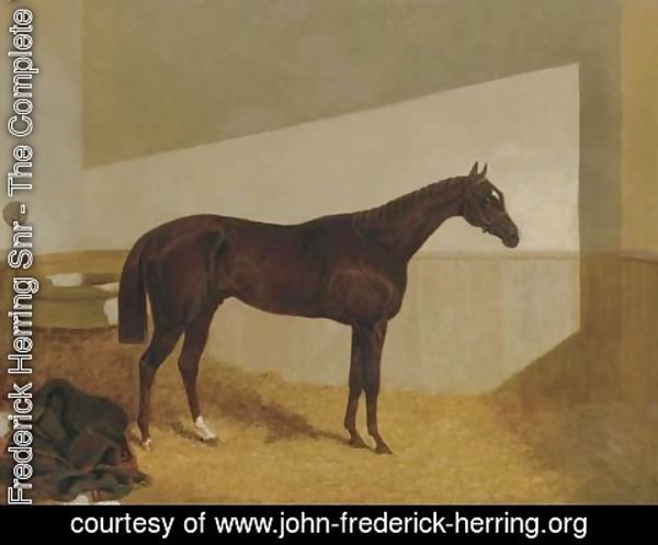 John Frederick Herring Snr - The Baron, winner of the St. Leger, 1845
