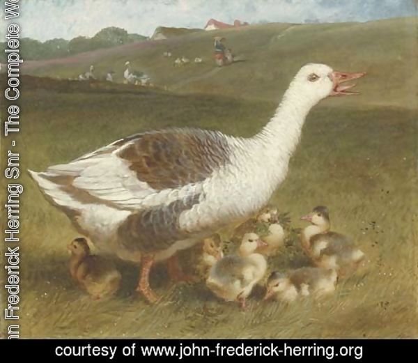 A goose and goslings in a landscape, figures beyond