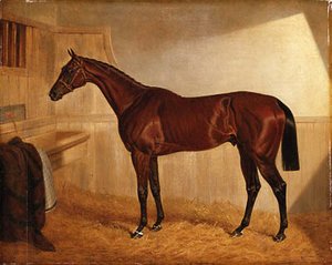 John Frederick Herring Snr - Lord Jersey's Bay Middleton in a Stable