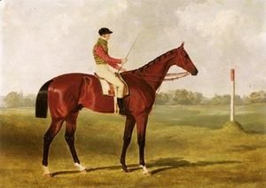 Phosphorus, A Bay Racehorse With George Edwards Up, On A Racecourse