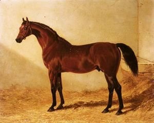 John Frederick Herring Snr - Glaucus, A Bay Racehorse In A Stable 2