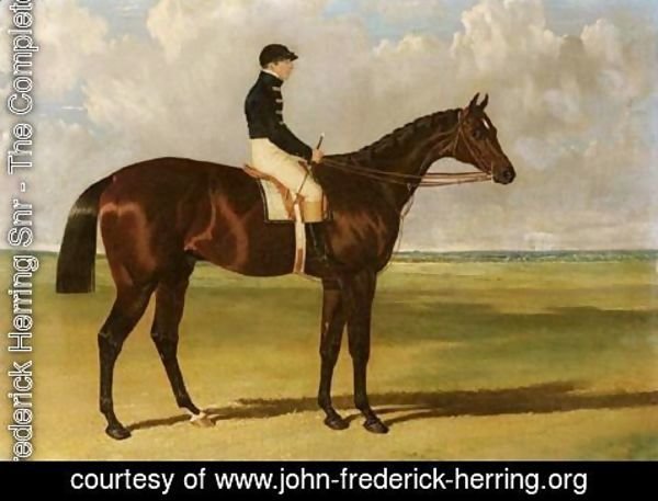 John Frederick Herring Snr - Mango, A Brown Racehorse With Sam Day Up, On A Racecourse