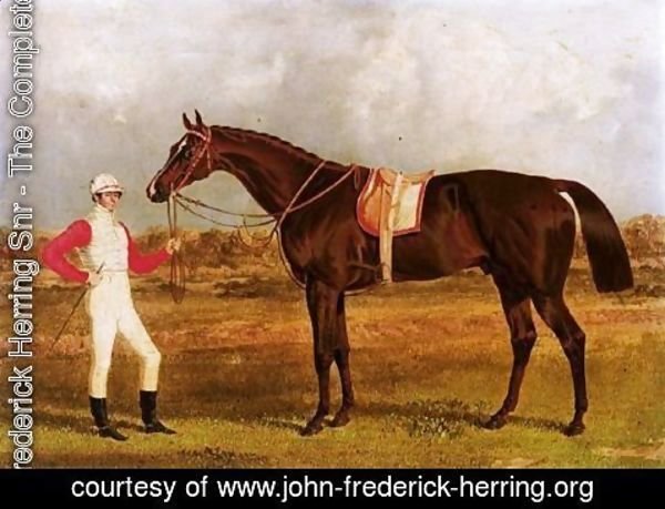 John Frederick Herring Snr - Euclid, A Chestnut Racehorse Held By His Jockey, Patrick Conolly, In A Landscape