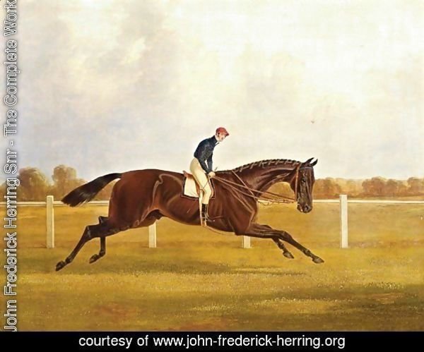 Charles XII, Winner Of The St. Leger, 1839