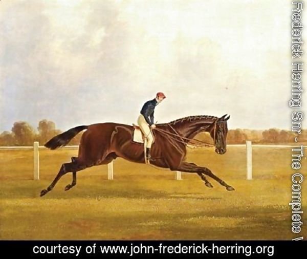 John Frederick Herring Snr - Charles XII, Winner Of The St. Leger, 1839