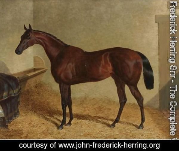 John Frederick Herring Snr - Beeswing