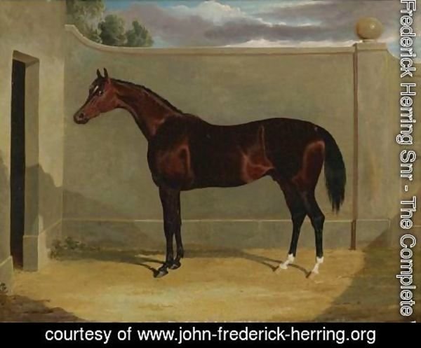 John Frederick Herring Snr - Figaro