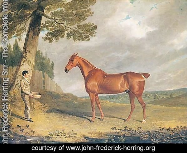 A Chestnut Hunter And Groom In A Landscape