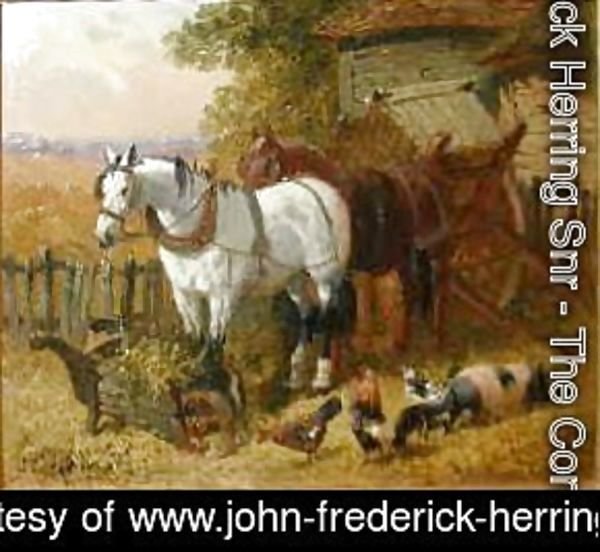 Horses with chickens and a pig