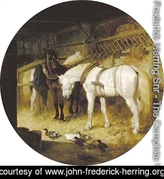 John Frederick Herring Snr - Harnessed plough-horses and ducks in a barn