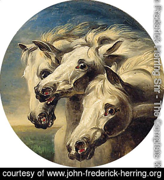 John Frederick Herring Snr - Pharoah's Horses