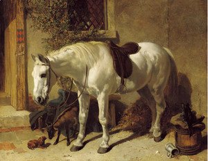 A grey horse, with a goat, a toy spaniel