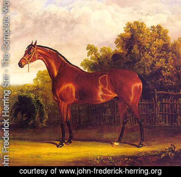 John Frederick Herring Snr - Negotiator the Bay Horse in a Landscape  1826